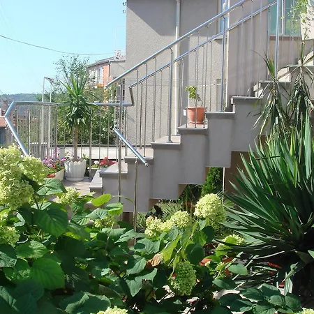 Hotel Venis Sozopol